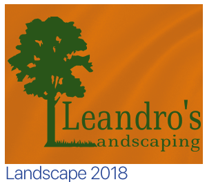 custom t-shirts landscape designs 2018