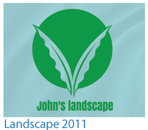 custom t-shirt landscape design 2011