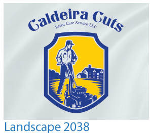 custom t-shirt landscape design 2038