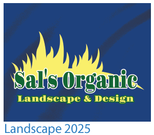 custom t-shirt landscape design 2025