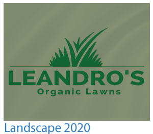 custom t-shirt landscape design 2020