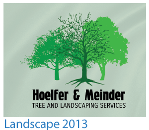 custom t-shirt landscape design 2013