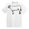 Hanes Youth  50/50 Tee Thumbnail