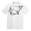 Hanes Youth  50/50 Tee Thumbnail