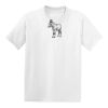 Hanes Youth  50/50 Tee Thumbnail