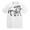 Hanes Youth  50/50 Tee Thumbnail