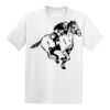Hanes Youth  50/50 Tee Thumbnail