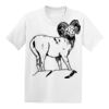 Hanes Youth  50/50 Tee Thumbnail