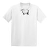 Hanes Youth  50/50 Tee Thumbnail